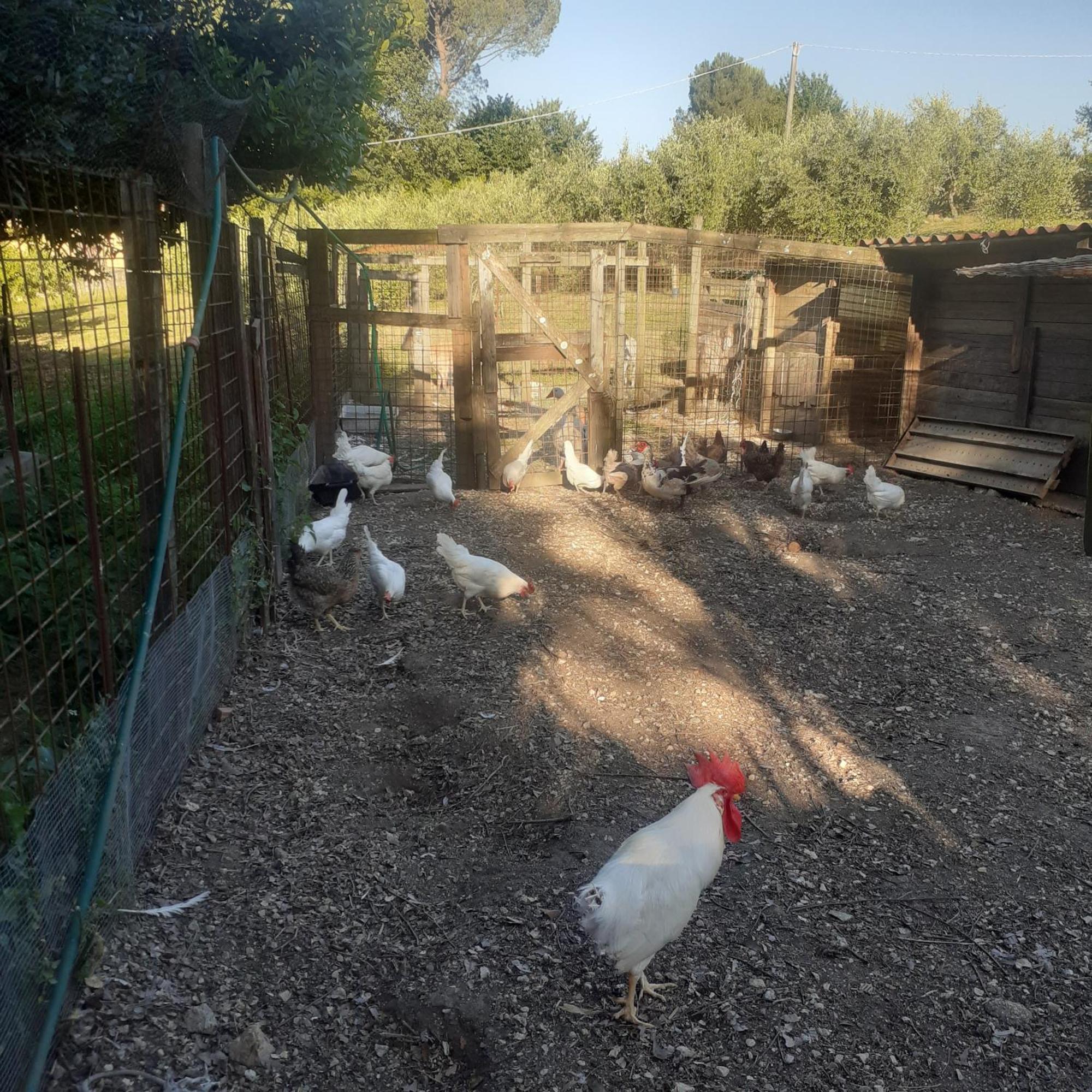 Casavacanze Baggioro Colle di Compito Exteriér fotografie